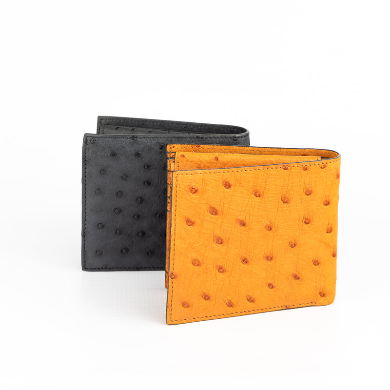 KC C/Card with Flap and Coin Pouch Wallet (Ostrich) - Karoo Classics