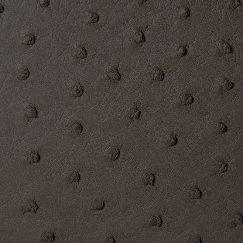 W09 (Ostrich Leather) - Karoo Classics