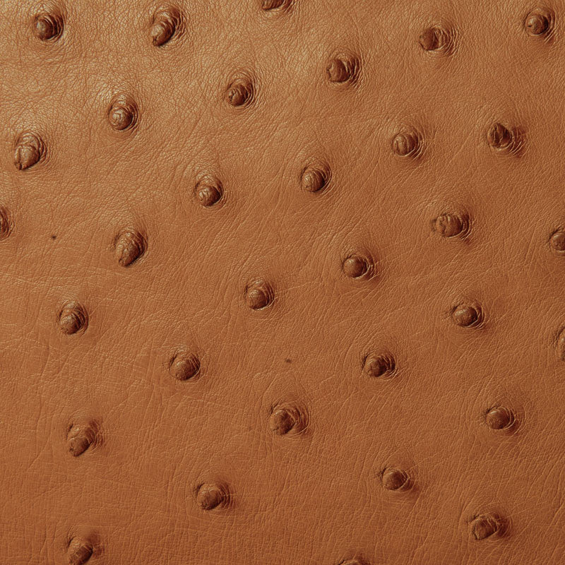 W89 (Ostrich Leather) - Karoo Classics