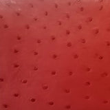 Ostrich Ladies Small Zip Around Purse