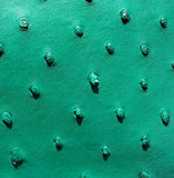 Emma - Karoo Classics