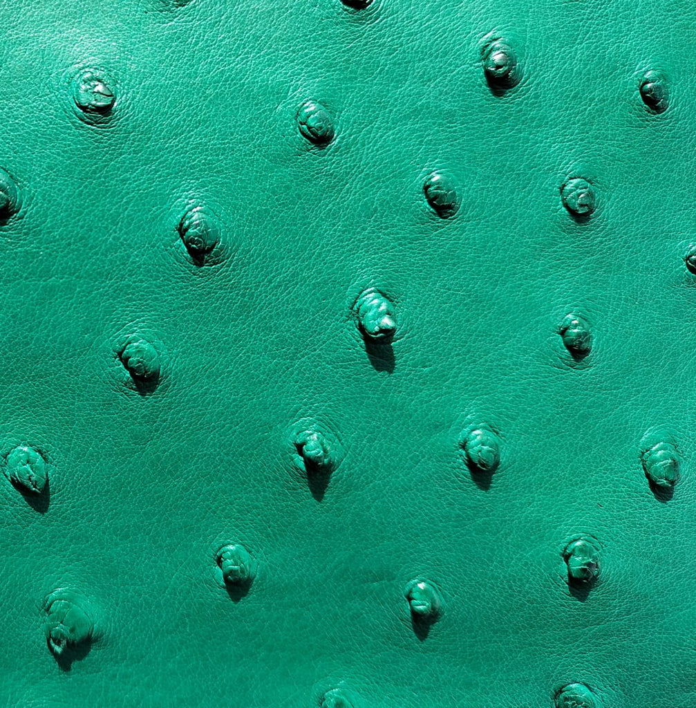 Thandi CR 1253 Karoo Classics thandi-cr-1253-karoo-classics