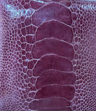 Georgia Shin Bag - Karoo Classics