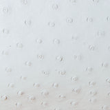 Asheeqa - Karoo Classics