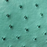 CR - 1061 - Karoo Classics