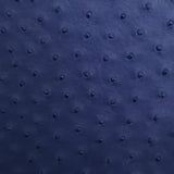 Asheeqa - Karoo Classics