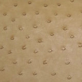 Asheeqa - Karoo Classics