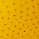 Suné - Karoo Classics