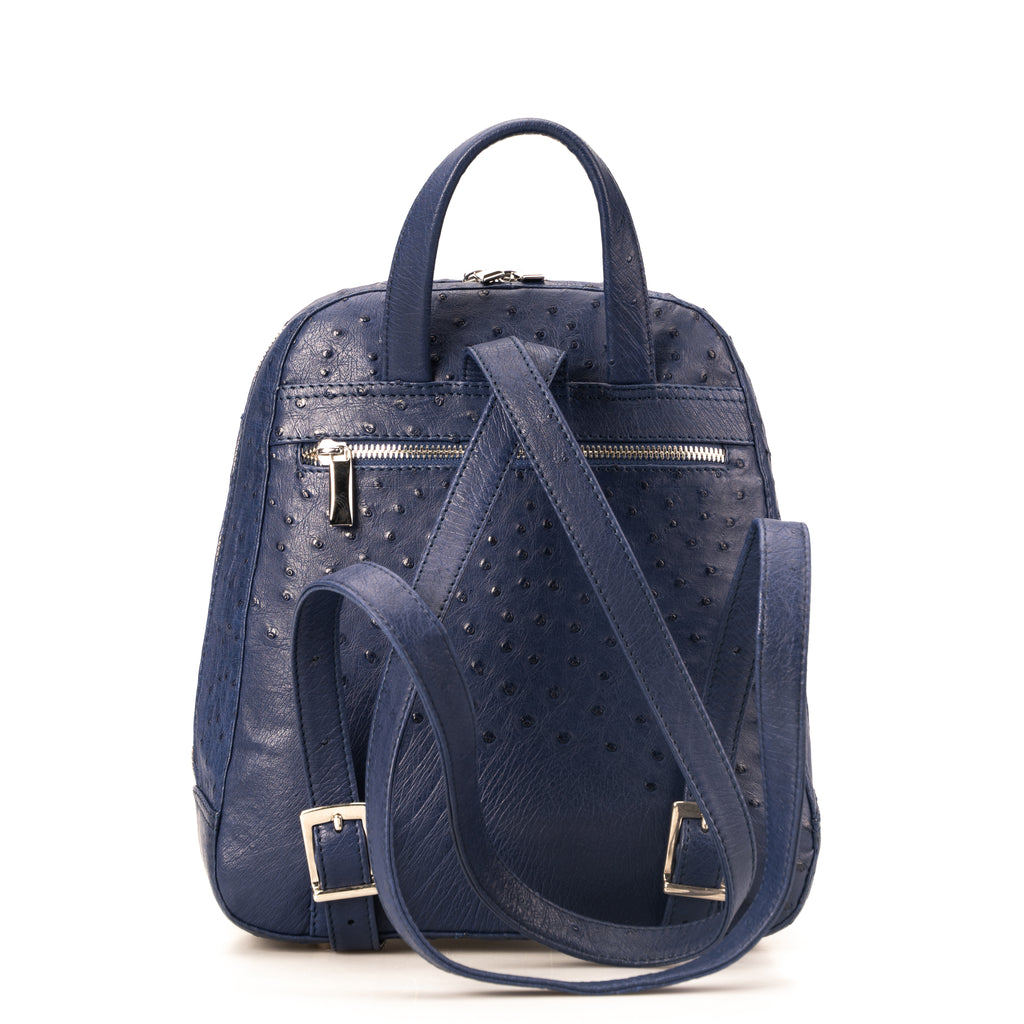 CR 2040 Backpack - Karoo Classics