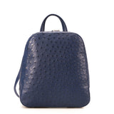 CR 2040 Backpack