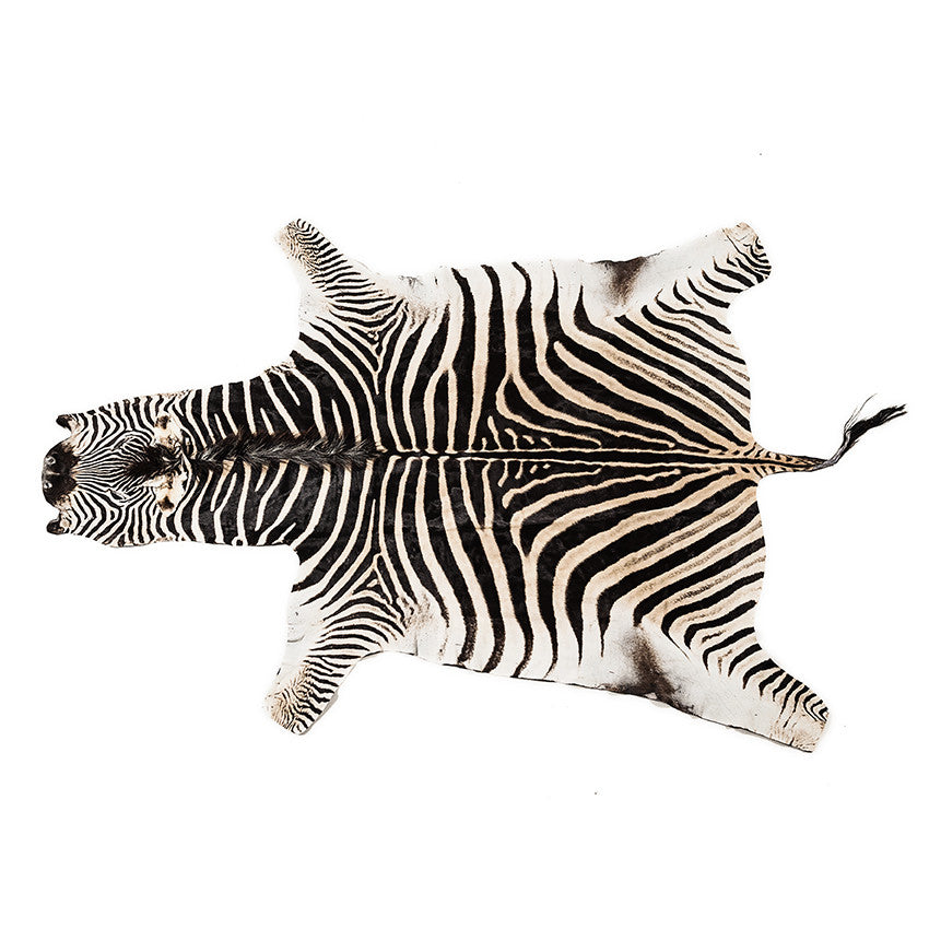 Zebra Hide (C-Grade) - Karoo Classics