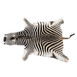 Zebra Hide (A-Grade) - Karoo Classics