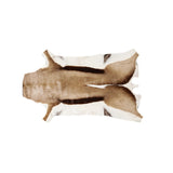 Springbok Hide - Karoo Classics