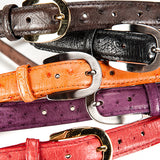 Ostrich Leather Belt 22 MM (Gold Buckle) - Karoo Classics