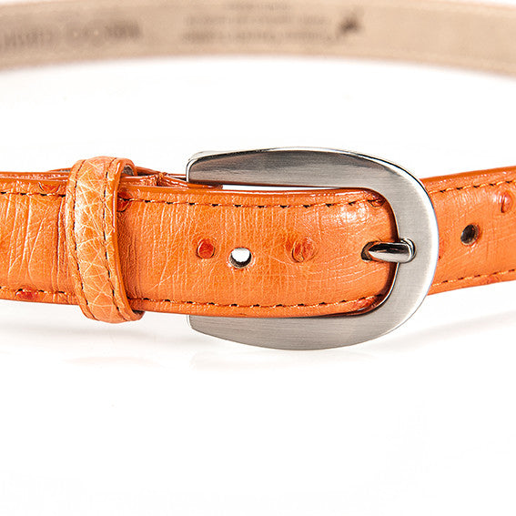 Ostrich Leather Belt 22 MM (Silver Buckle) - Karoo Classics