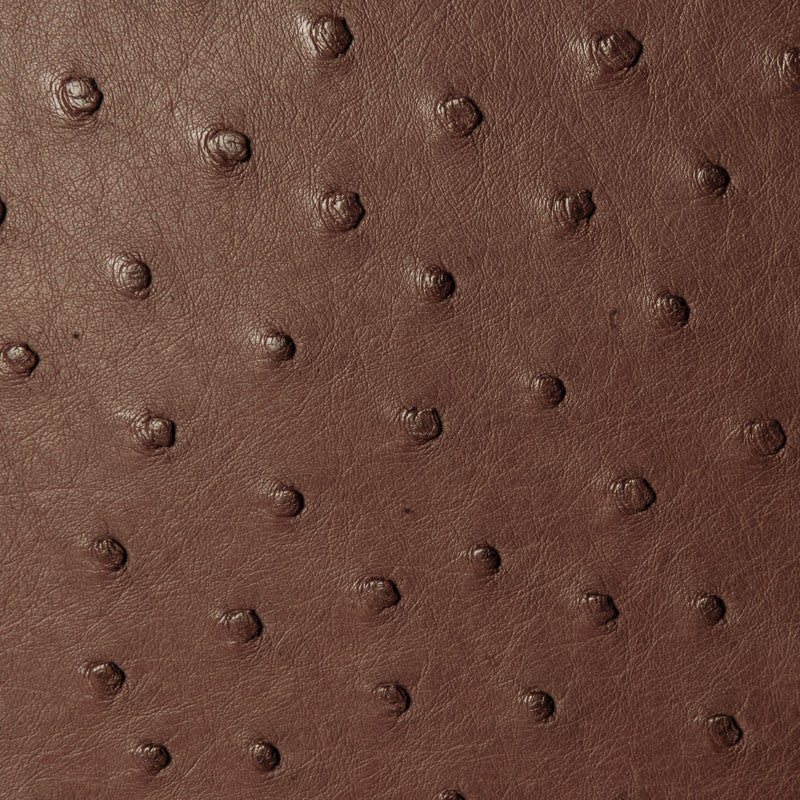 W05 (Ostrich Leather) - Karoo Classics