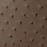 CR - 1251 - Karoo Classics