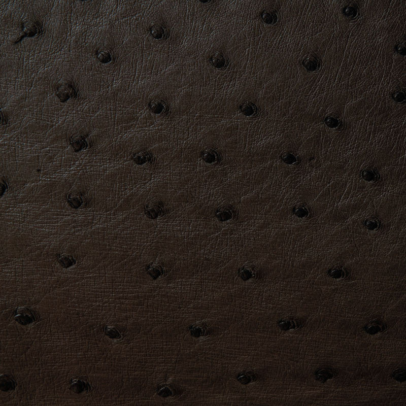 W89 (Ostrich Leather) - Karoo Classics