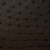 Ostrich Leather Belt 22 MM (Gold Buckle) - Karoo Classics