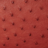 CR - 2029 - Karoo Classics