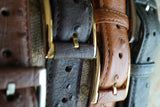 Ostrich Leather Belt 35 MM (Gold Buckle) - Karoo Classics