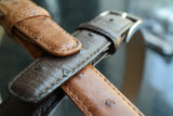 Ostrich Leather Belt 30 MM (Gold Buckle) - Karoo Classics