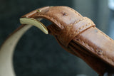 Ostrich Leather Belt 30 MM (Gold Buckle) - Karoo Classics