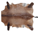 Hartebeest Hide - Karoo Classics